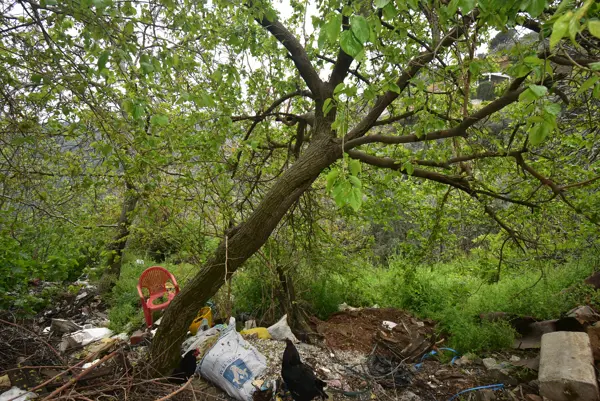 Bayındır'ın Hisarlık Köyünde, 269 m2, Satılık Bahçe